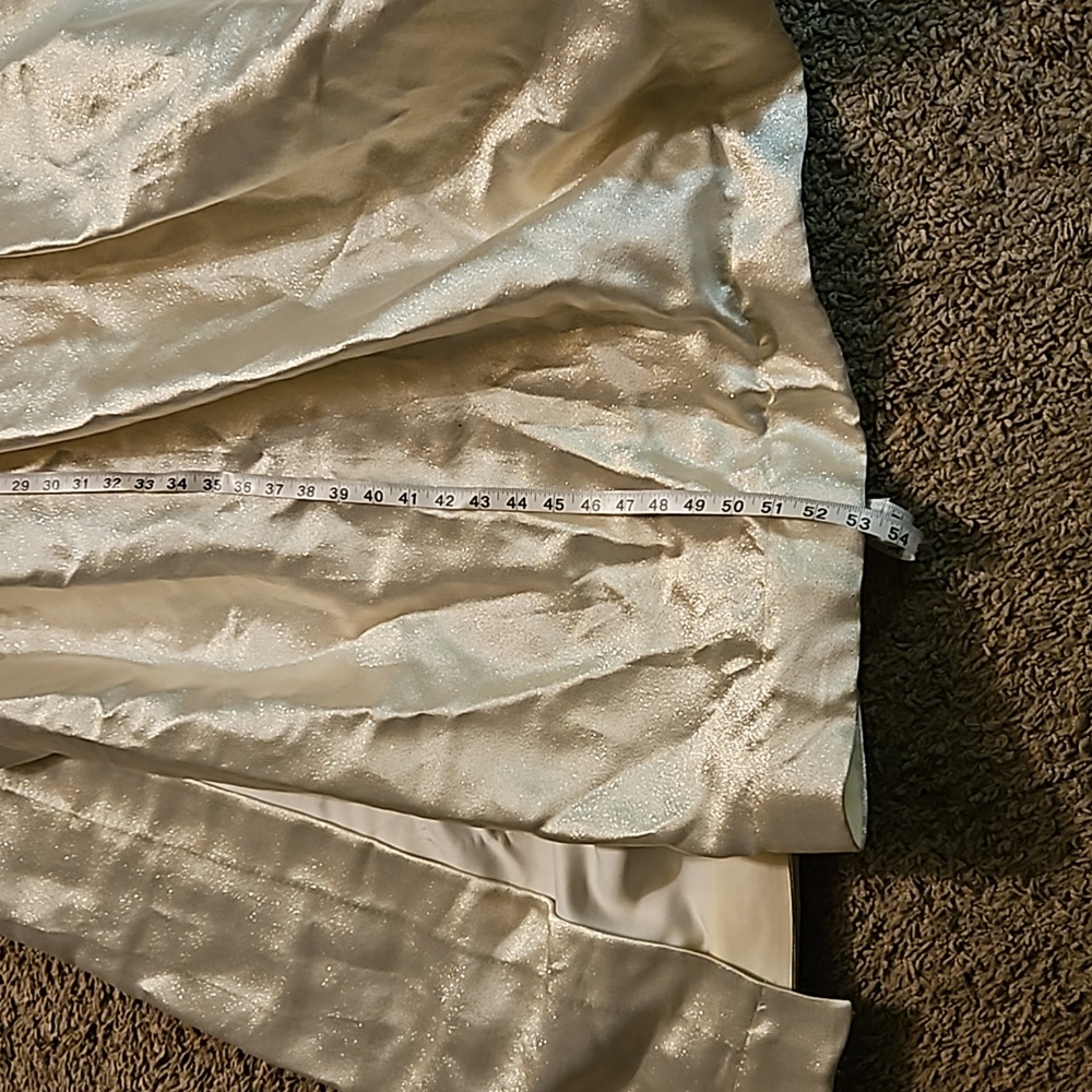 Gorgeous gown! - Picture 9 of 9